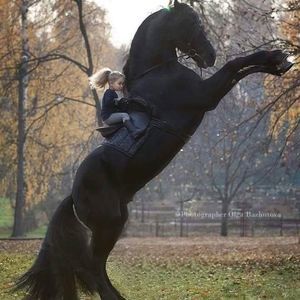 Meet your Posher, Kathy